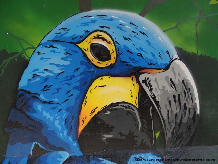 Oiseaux colorés
