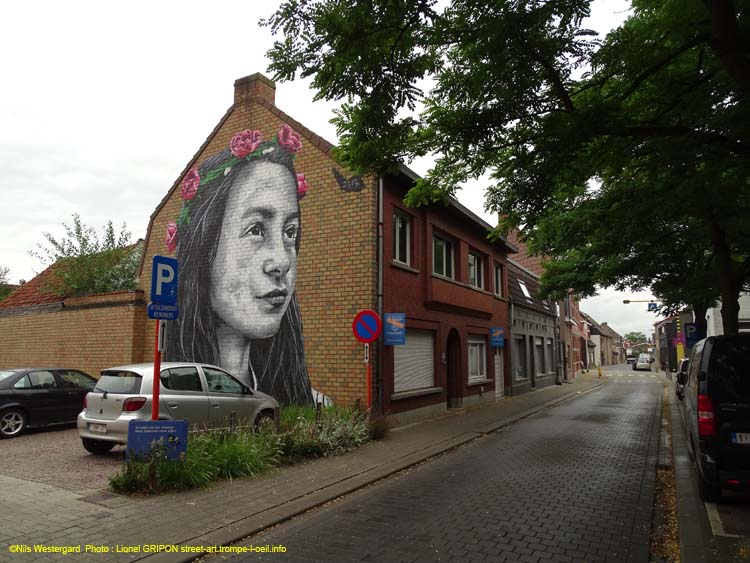 Wevelgem02