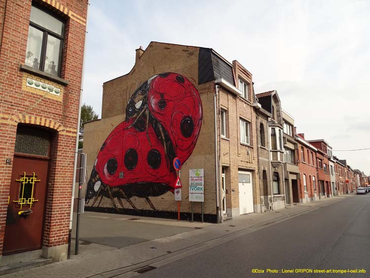 Amour coccinelles