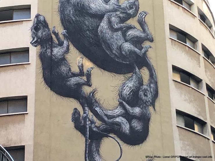 Écureuils sauve qui peut