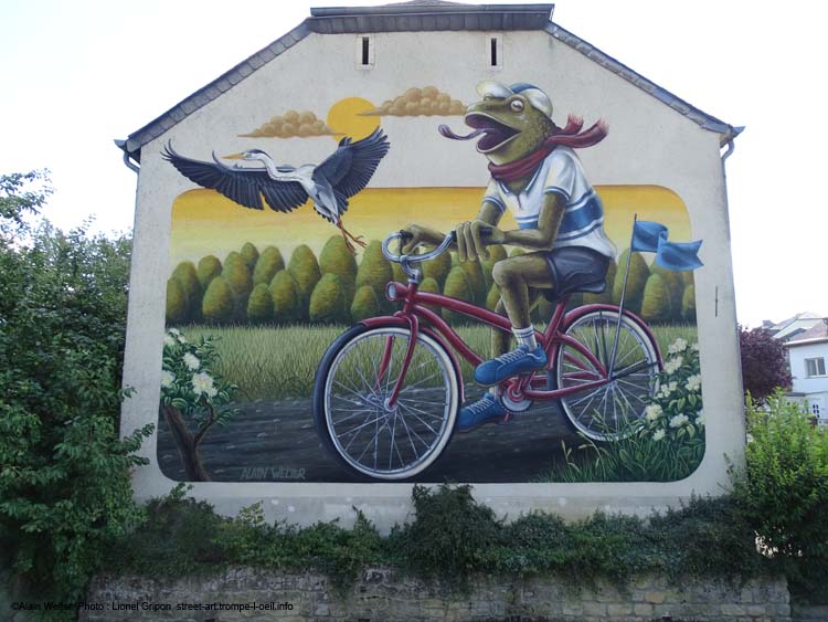 Grenouille à vélo