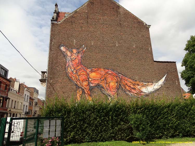 Renard roux-1
