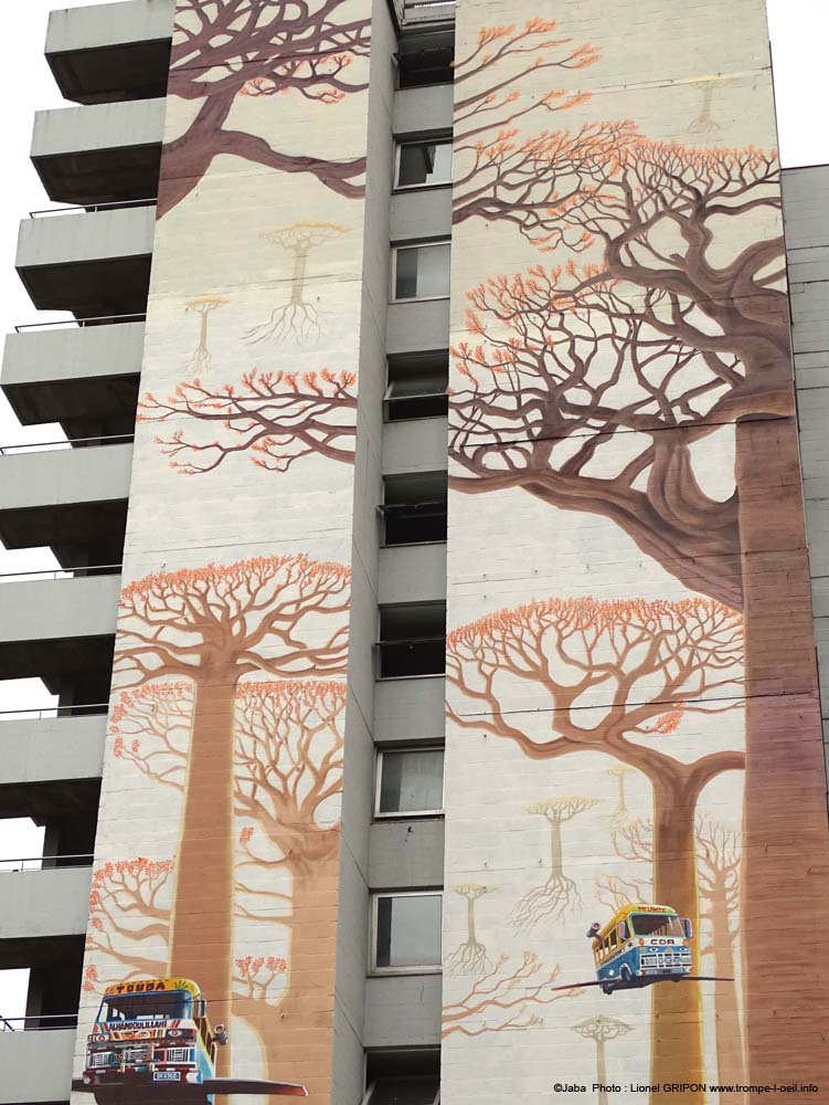 Envol des baobabs