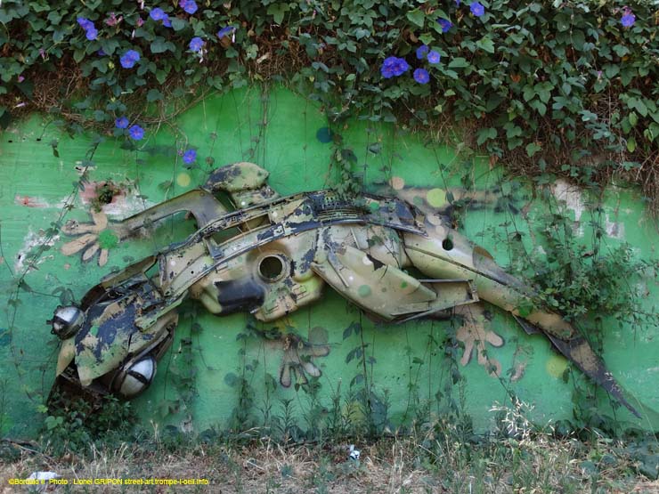 Le lézard