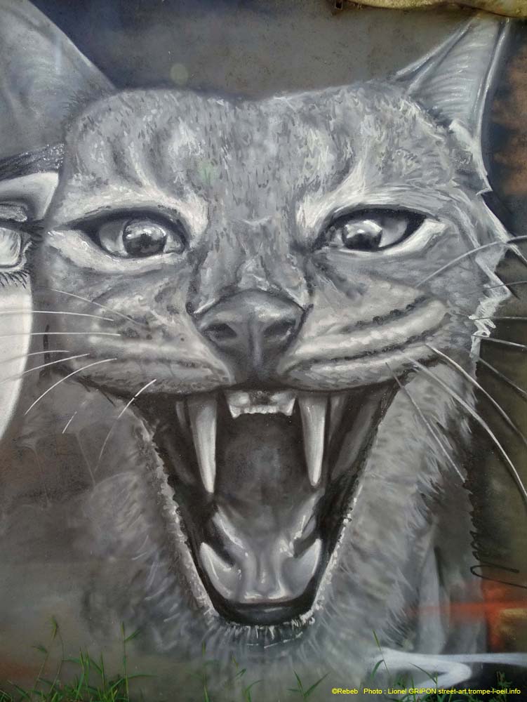 Lynx et Nymphale