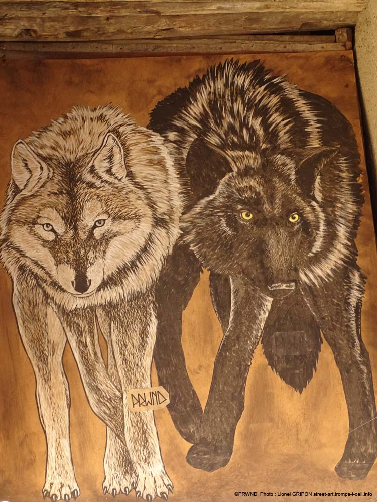 Couple de loups