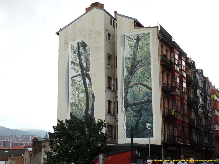 Vue sur forêt