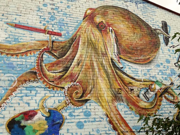 Octopus