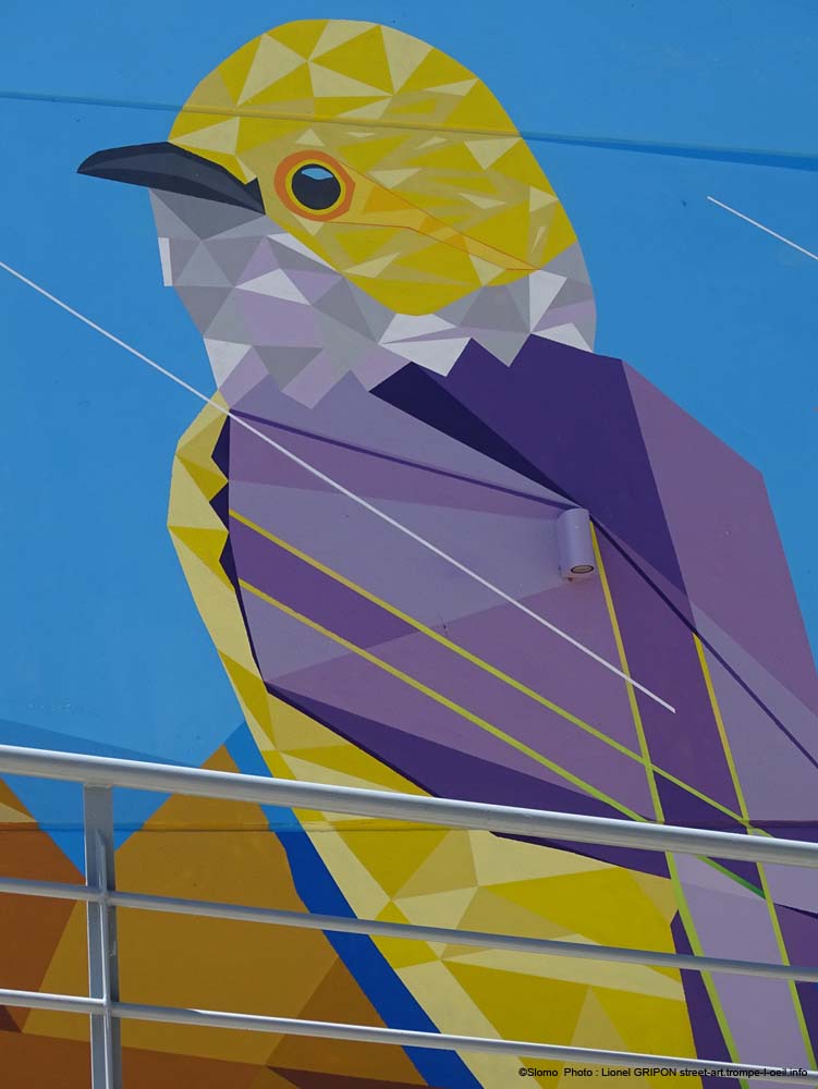 Moineau coloré