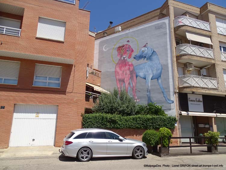 Chiens colorés