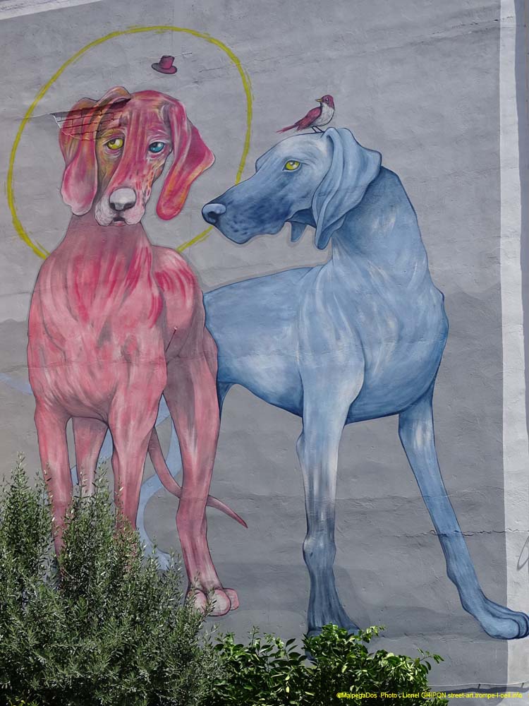 Chiens colorés