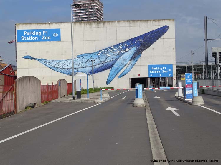 La baleine bleue