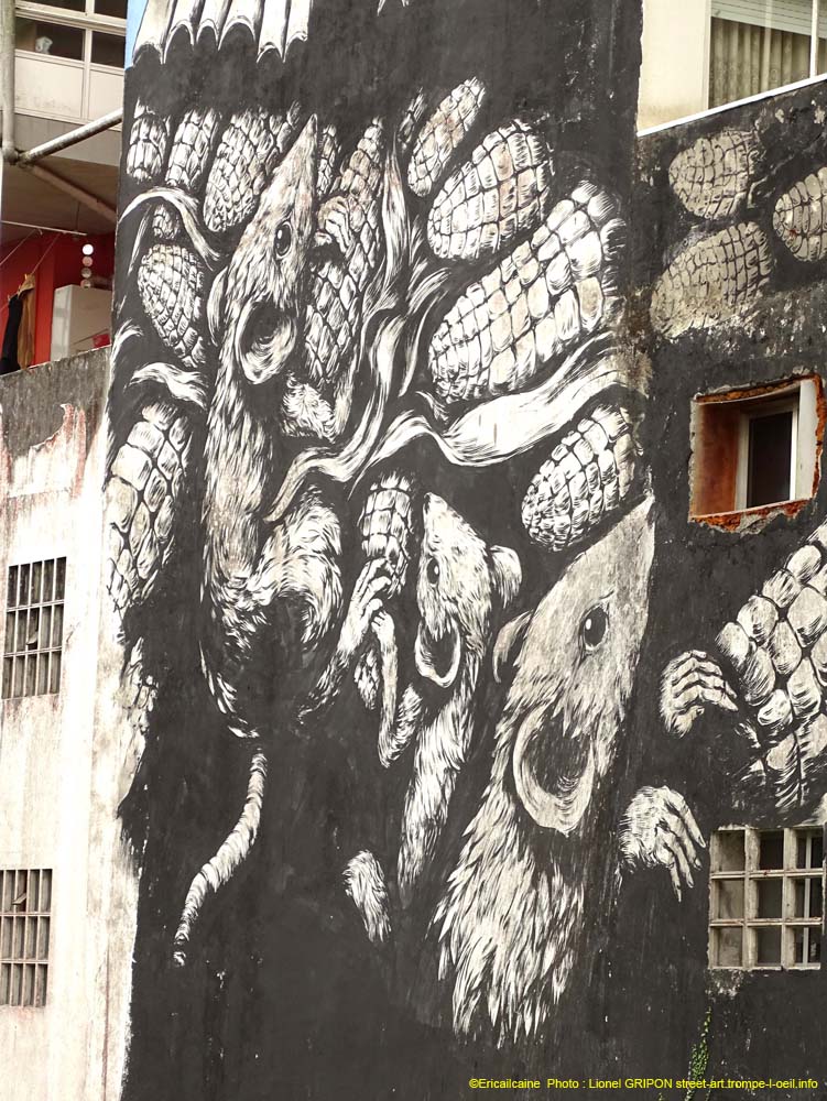 Grenouilles et rats