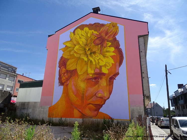 Fleur du soleil