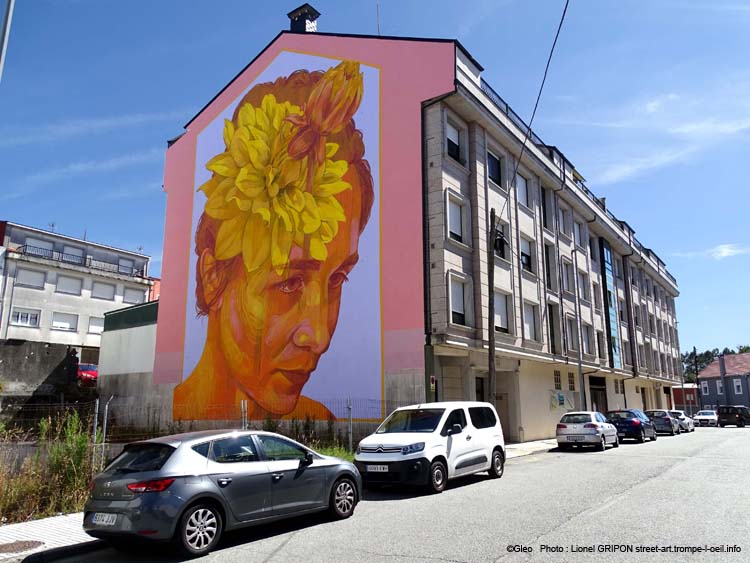 Fleur du soleil