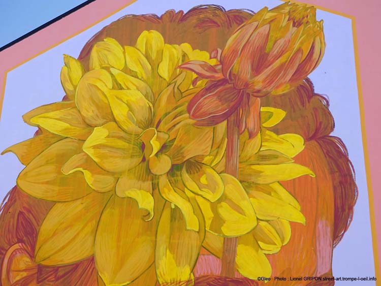 Fleur du soleil