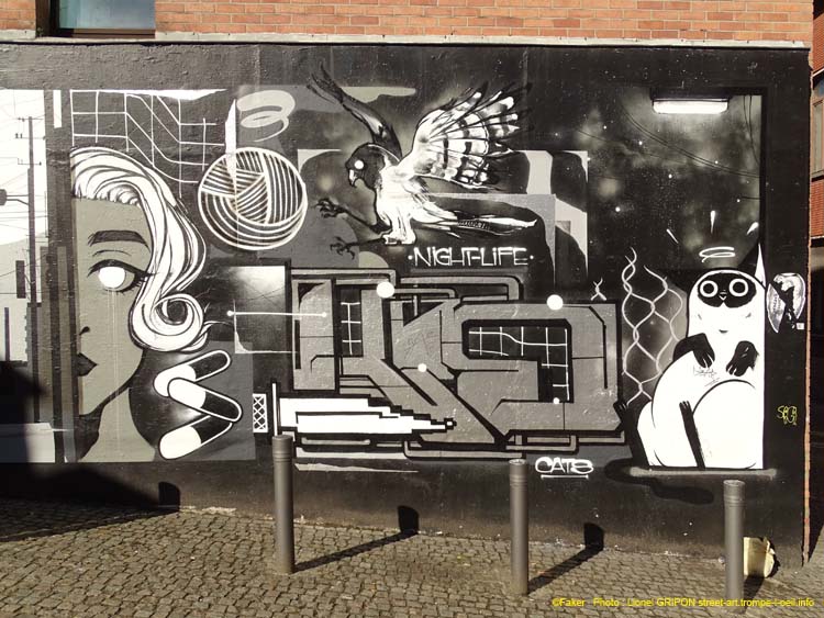 Le Mur Mons-01