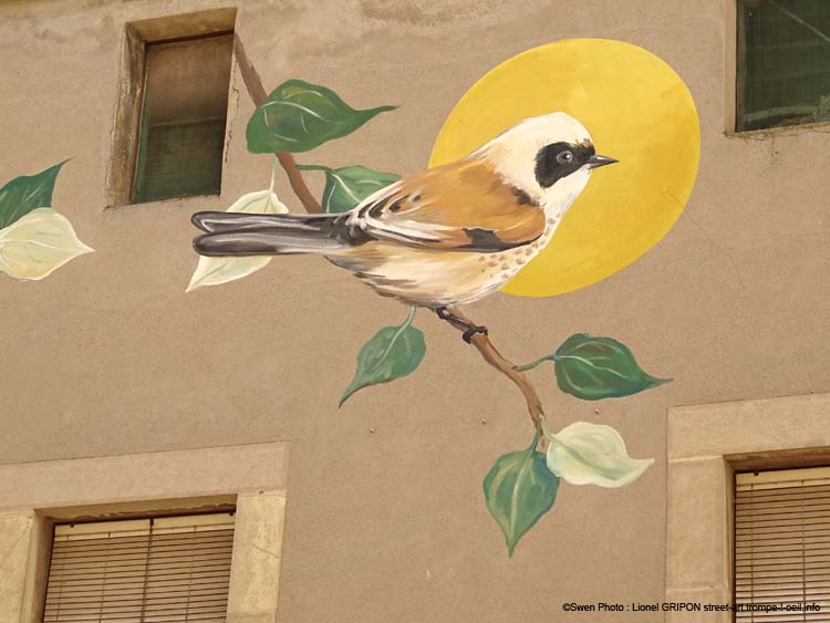 Rémiz penduline