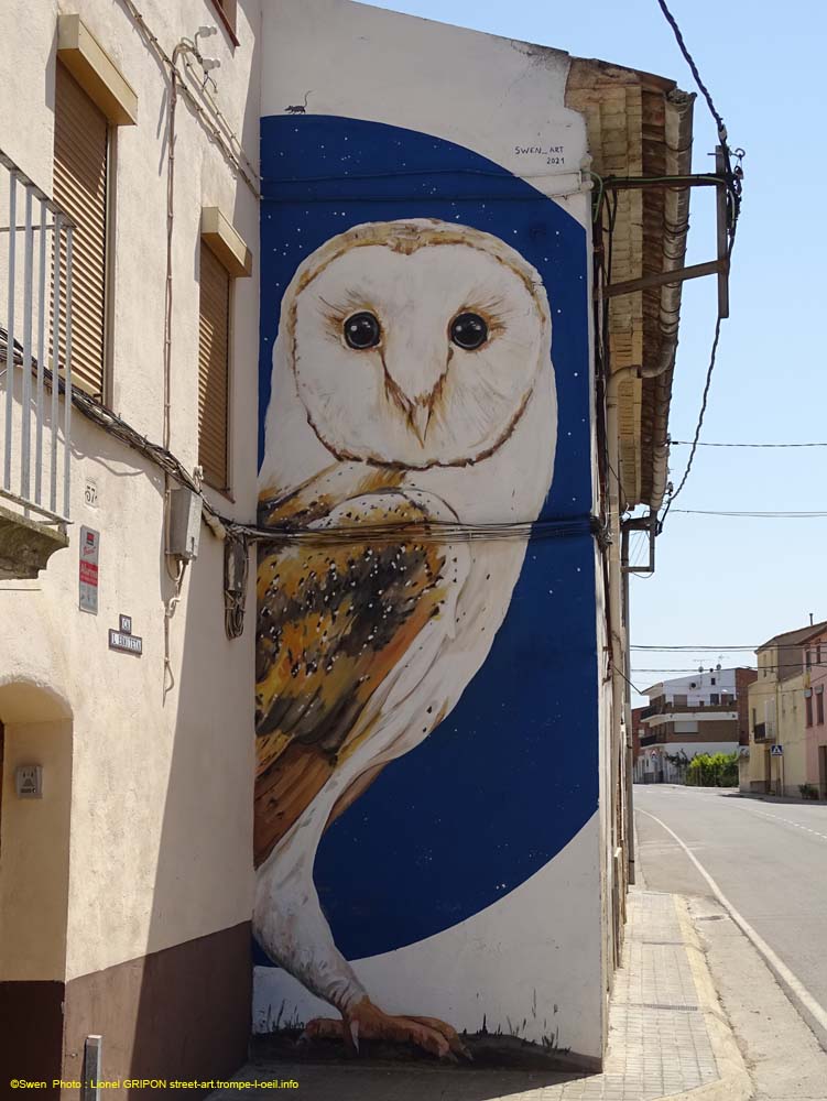 Chouette effraie