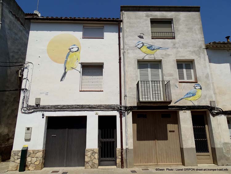 Mésange bleue