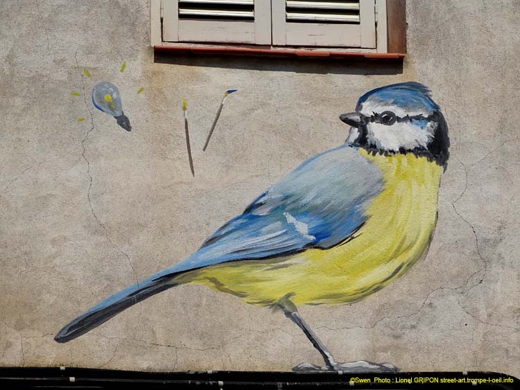 Mésange bleue