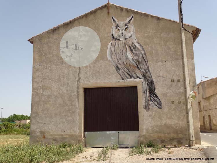 Hibou moyen-duc