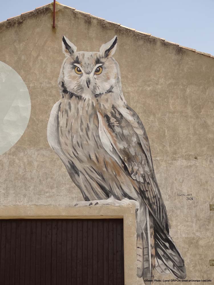 Hibou moyen-duc