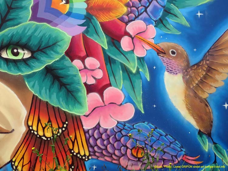 Colibris et serpents