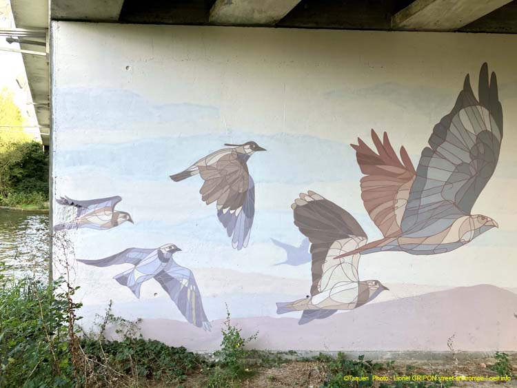 Oiseaux en vol