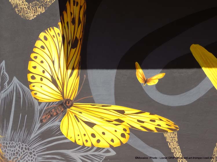 Vol du papillon