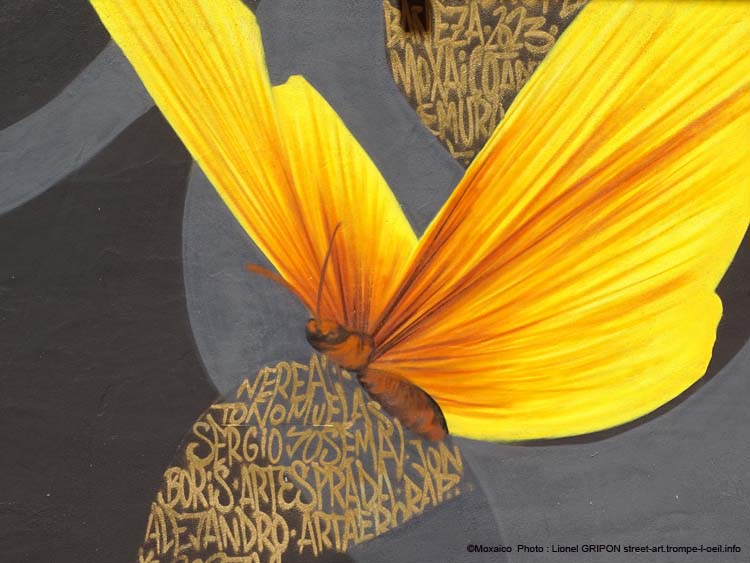 Vol du papillon