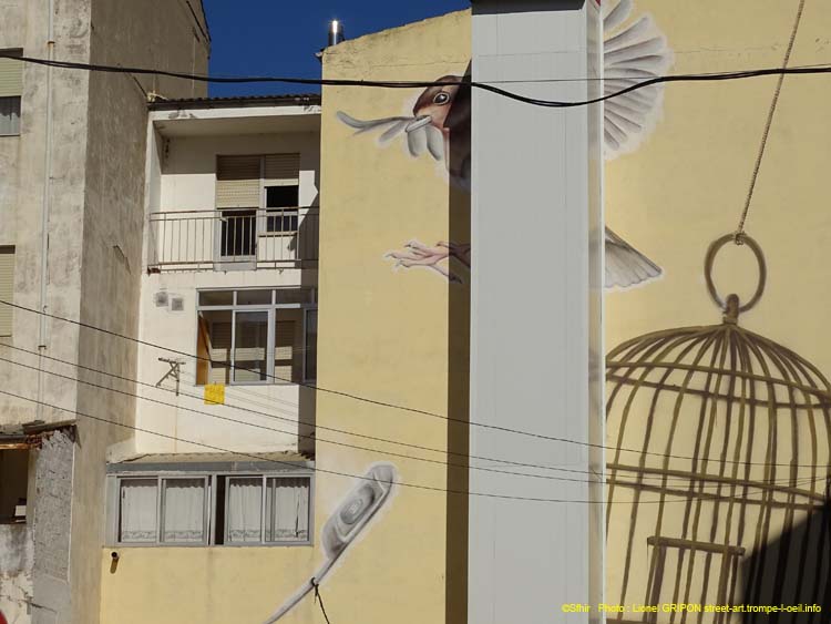 Homme oiseau