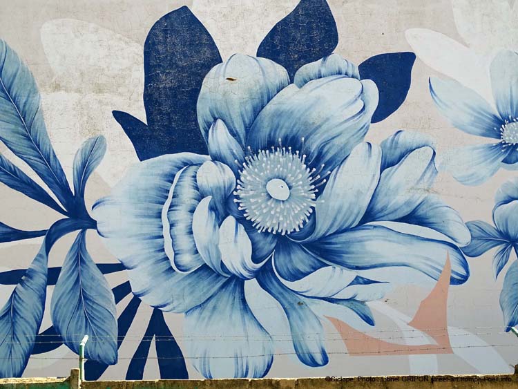Pivoine et anémone