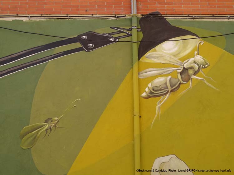 Carcasse et insectes