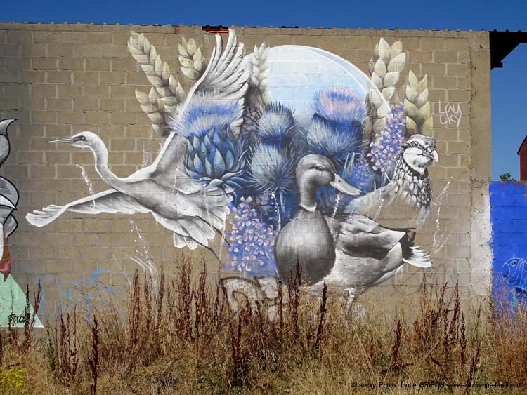 Trio de volatiles