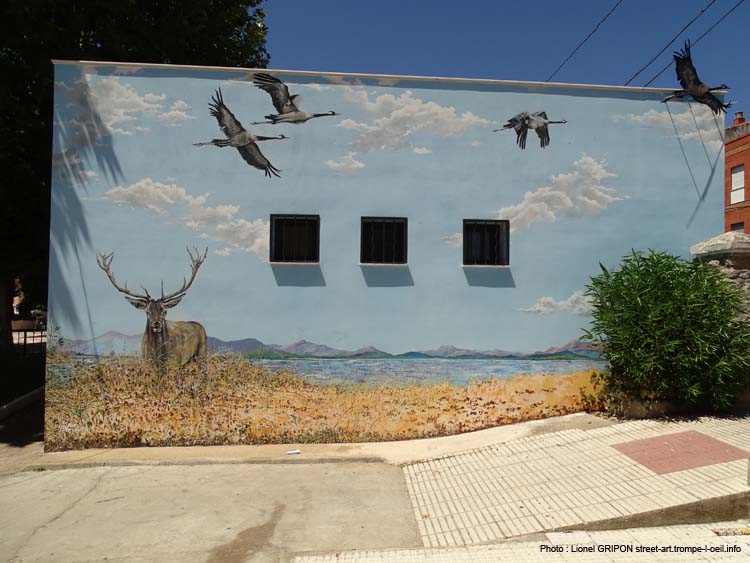 Zarza de Granadilla-04