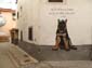 Patrouille canine