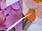 Papillon et colibris
