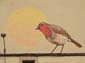 Rouge-gorge