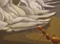 Carcasse et insectes